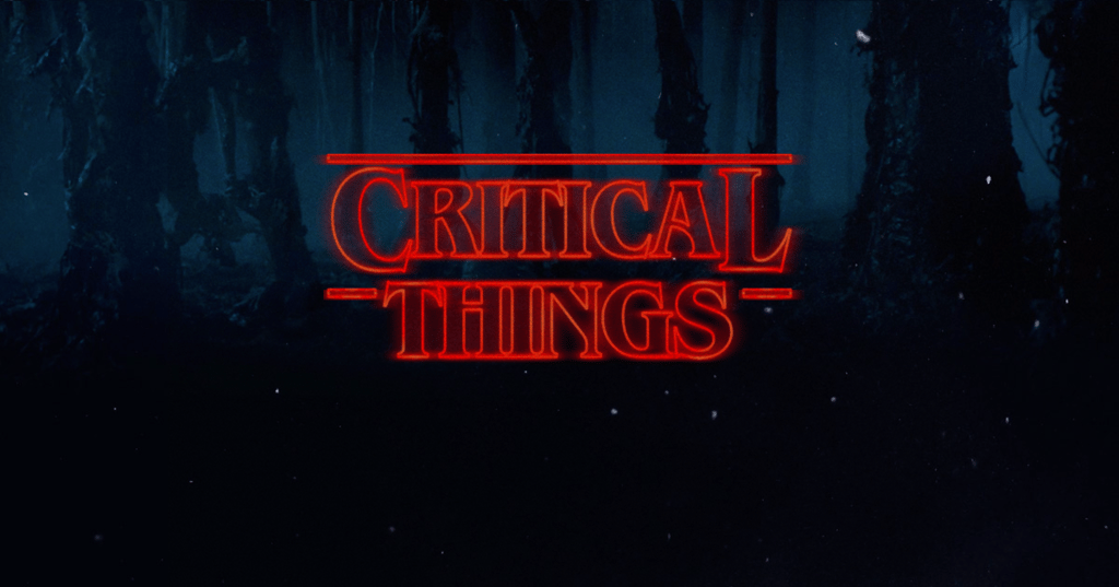 Critical Things ERP System CFO